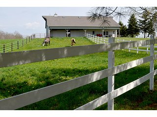 Property photo 103 - REAL ESTATE & PERSONAL PROPERTY AUCTION - 23.5+/- ACRES OFFERED IN 3 TRACTS OR COMBINATIONS IN EAST ALLEN COUNTY